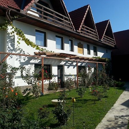 Casa Gross Hotel Cristian  Exterior photo