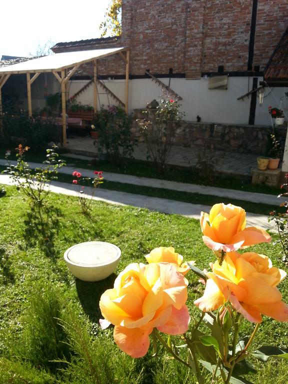 Casa Gross Hotel Cristian  Exterior photo