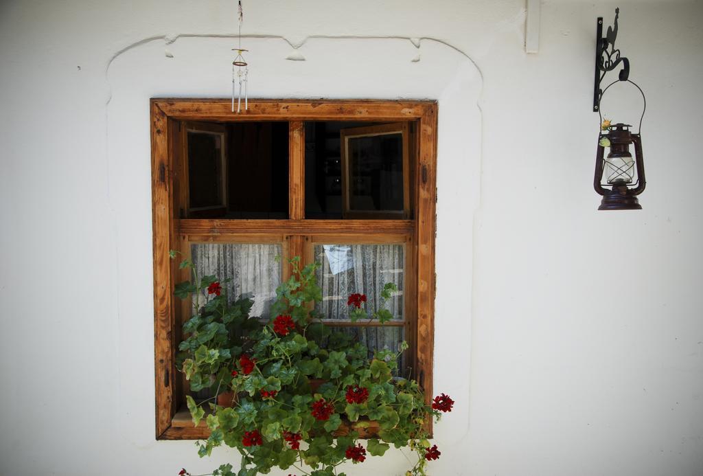 Casa Gross Hotel Cristian  Exterior photo